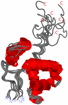 Image NMR Structure - all models