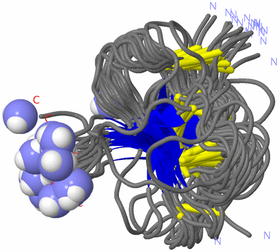 Image NMR Structure - all models