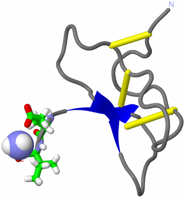 Image NMR Structure - model 1, sites