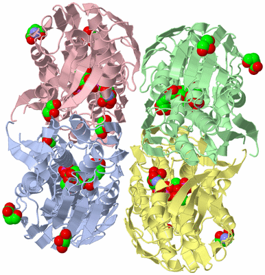 Image Biological Unit 1