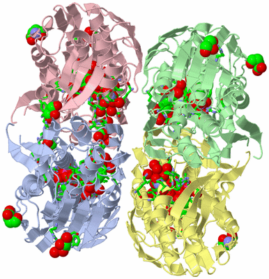 Image Biol. Unit 1 - sites