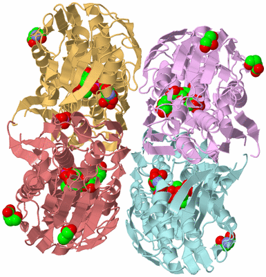 Image Biological Unit 2