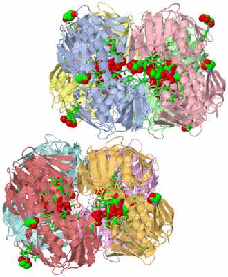 Image Asym. Unit - sites