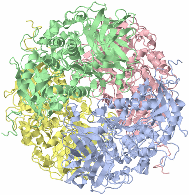 Image Biological Unit 1