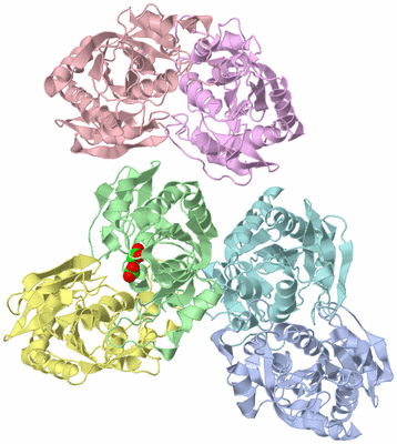 Image Biological Unit 1