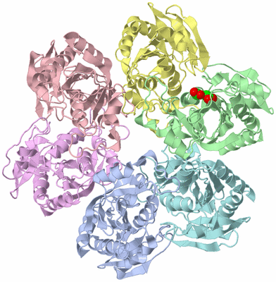 Image Biological Unit 2