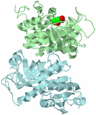Image Biological Unit 3