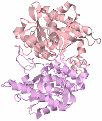 Image Biological Unit 4