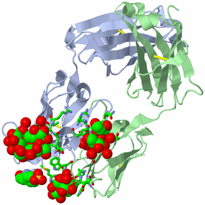 Image Biol. Unit 1 - sites