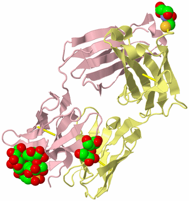 Image Biological Unit 2