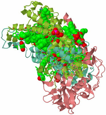 Image Asym./Biol. Unit - sites