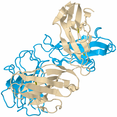 Image Biological Unit 5