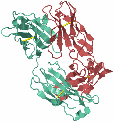 Image Biological Unit 6