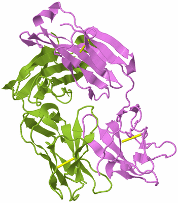 Image Biological Unit 7