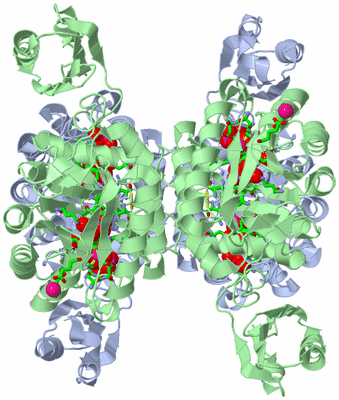 Image Biol. Unit 1 - sites