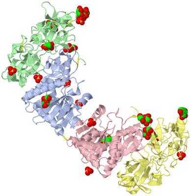 Image Asymmetric Unit