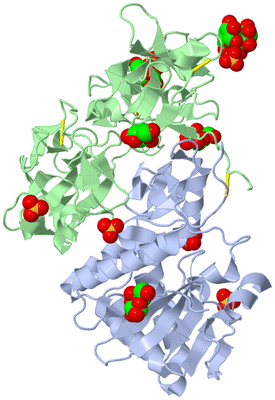 Image Biological Unit 1