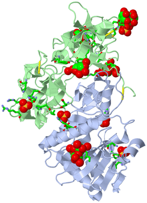 Image Biol. Unit 1 - sites