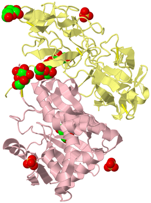 Image Biological Unit 2