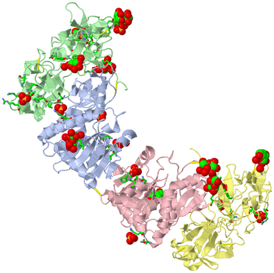 Image Asym. Unit - sites