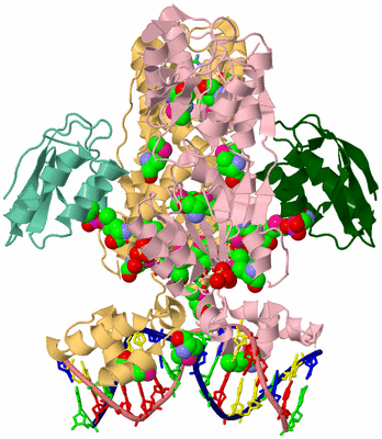 Image Biol. Unit 1 - sites