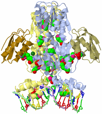 Image Biological Unit 2