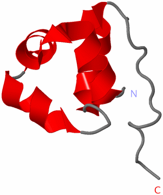 Image NMR Structure - model 1