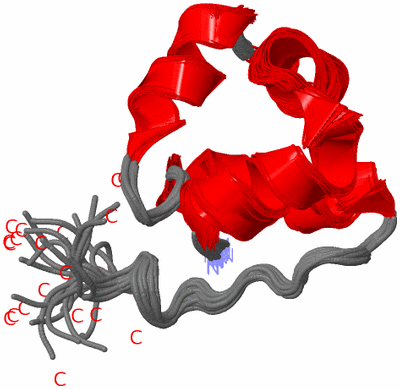 Image NMR Structure - all models