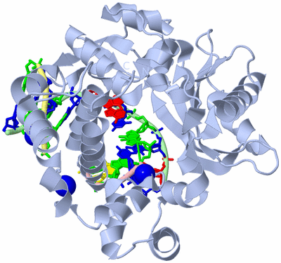 Image Biological Unit 1