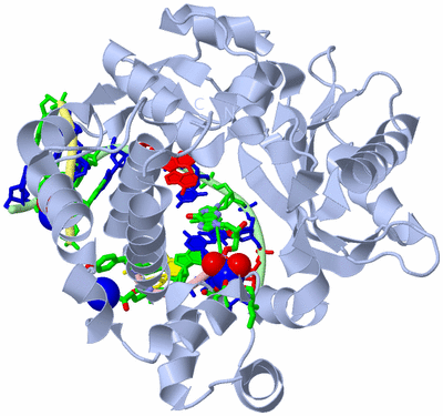 Image Biol. Unit 1 - sites