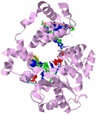 Image Biological Unit 2