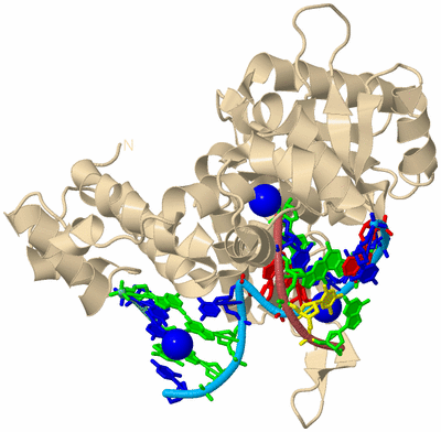 Image Biological Unit 3