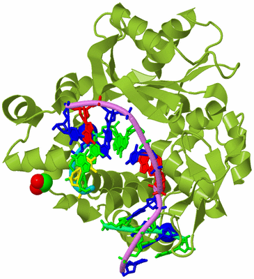 Image Biological Unit 4