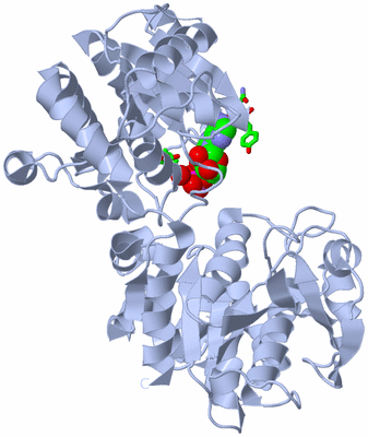 Image Biol. Unit 1 - sites