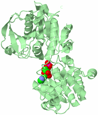 Image Biological Unit 2