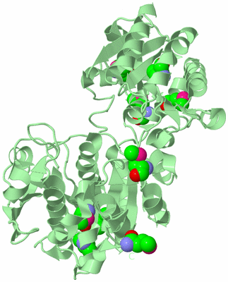 Image Biological Unit 2