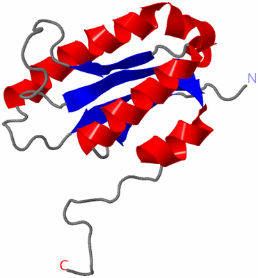 Image NMR Structure - model 1