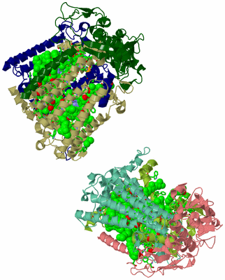 Image Asym. Unit - sites