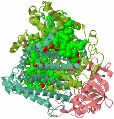 Image Biol. Unit 1 - sites