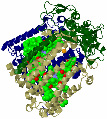 Image Biological Unit 2