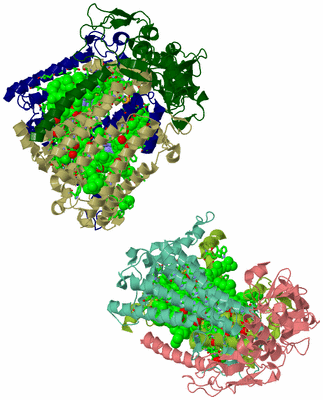 Image Asym. Unit - sites