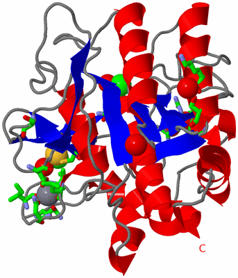 Image Asym./Biol. Unit - sites