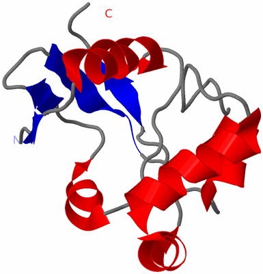 Image NMR Structure - model 1