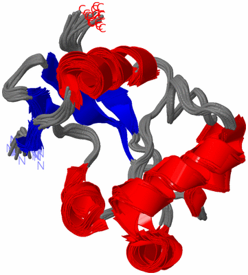 Image NMR Structure - all models