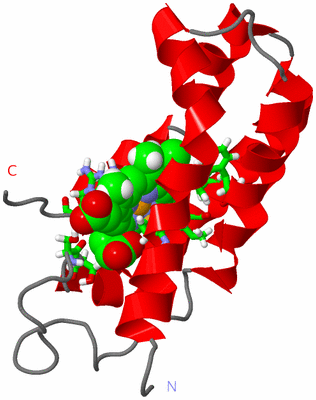 Image NMR Structure - model 1, sites