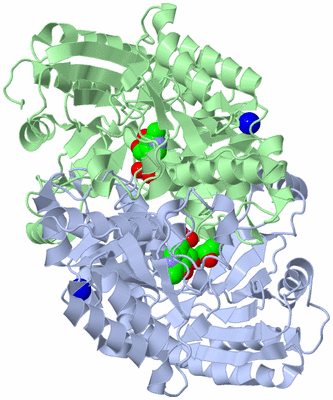 Image Asym./Biol. Unit