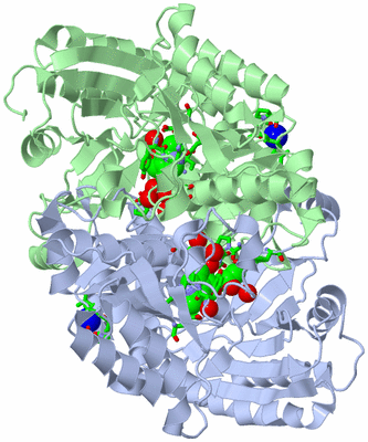 Image Asym./Biol. Unit - sites