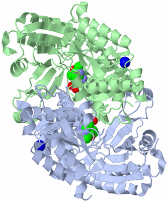 Image Asym./Biol. Unit