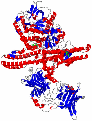 Image Asym./Biol. Unit - sites