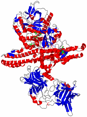 Image Asym./Biol. Unit - sites